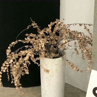 兽设细节刻画技巧福瑞交流群